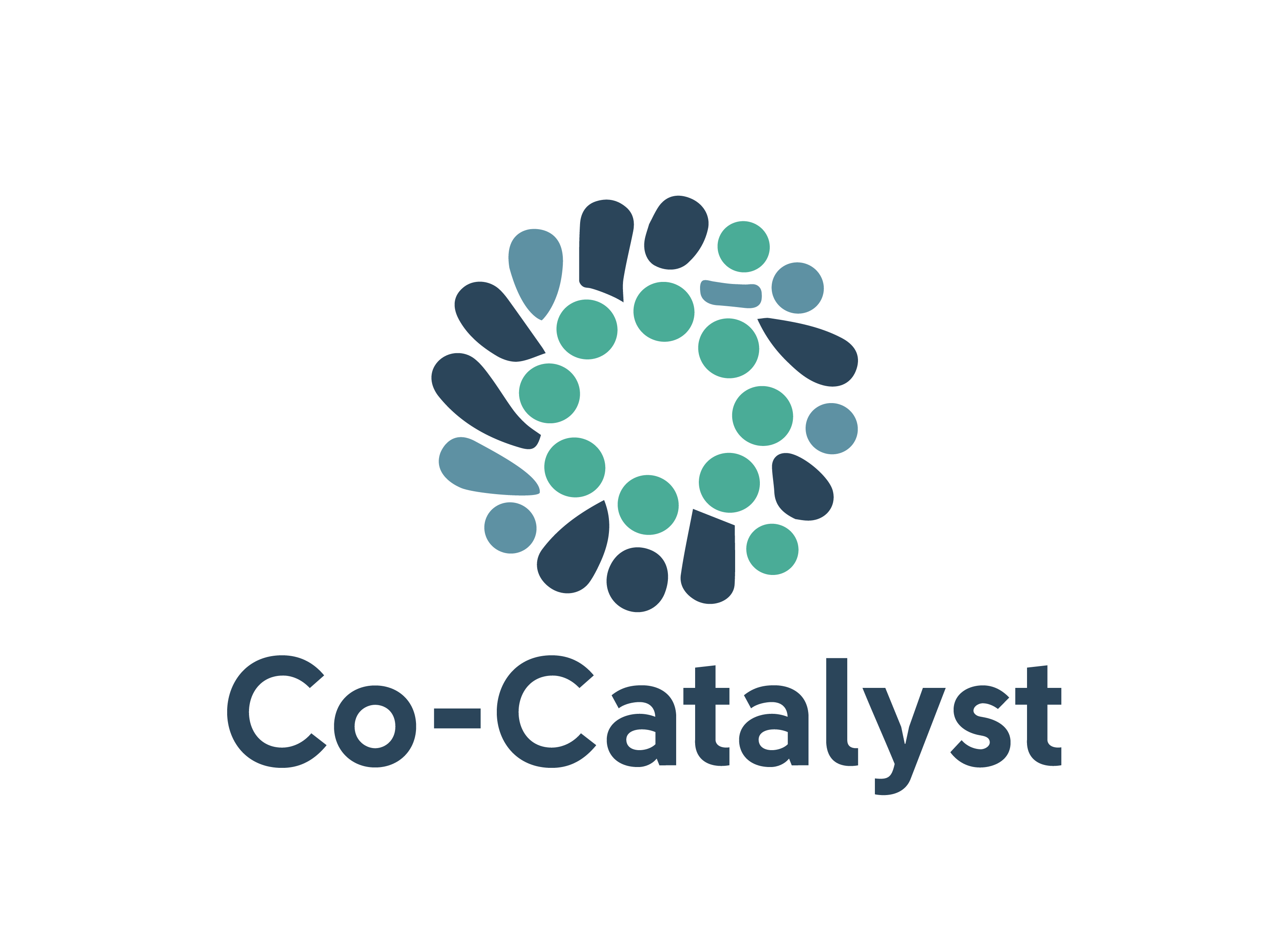 Co-Catalyst